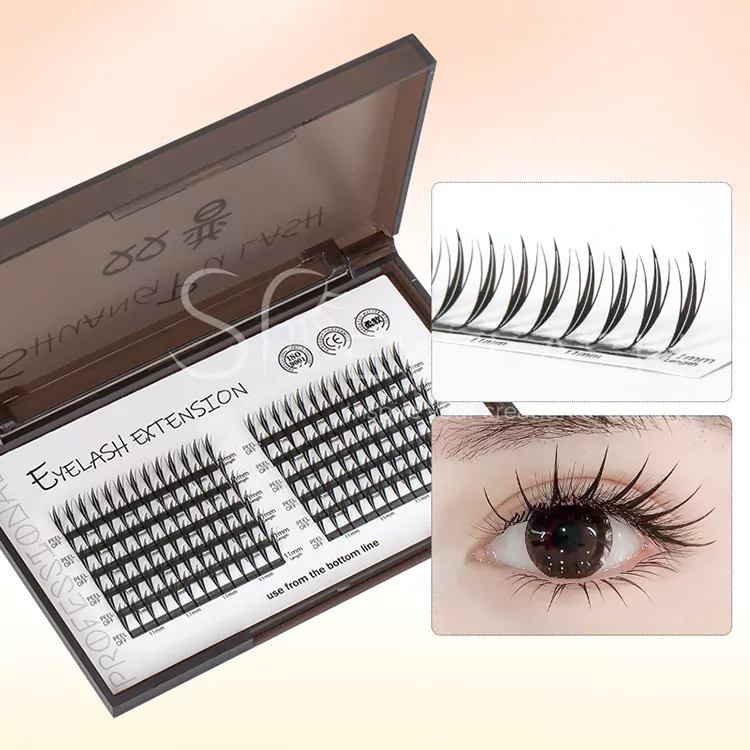 Mở rộng lash lash